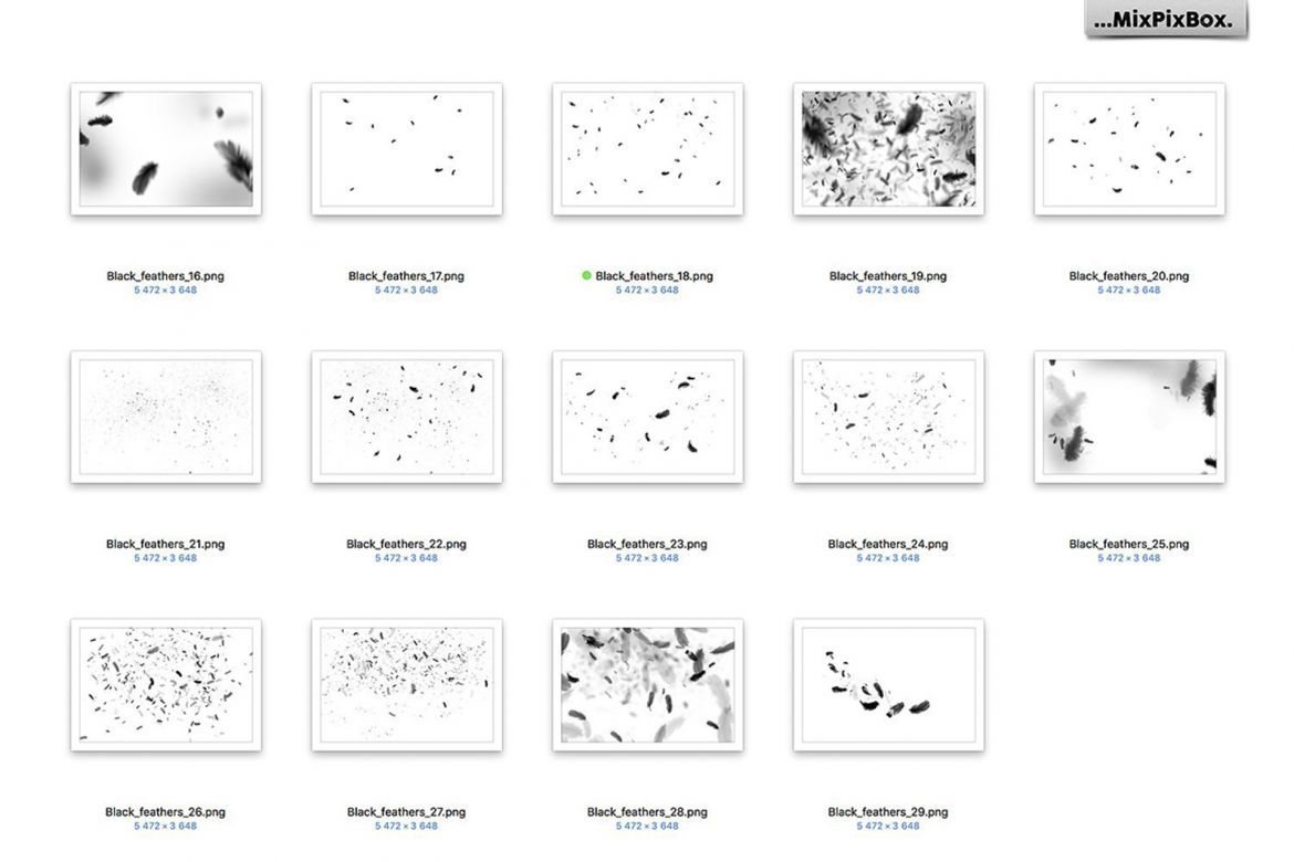 Black Feathers Overlays - view 4