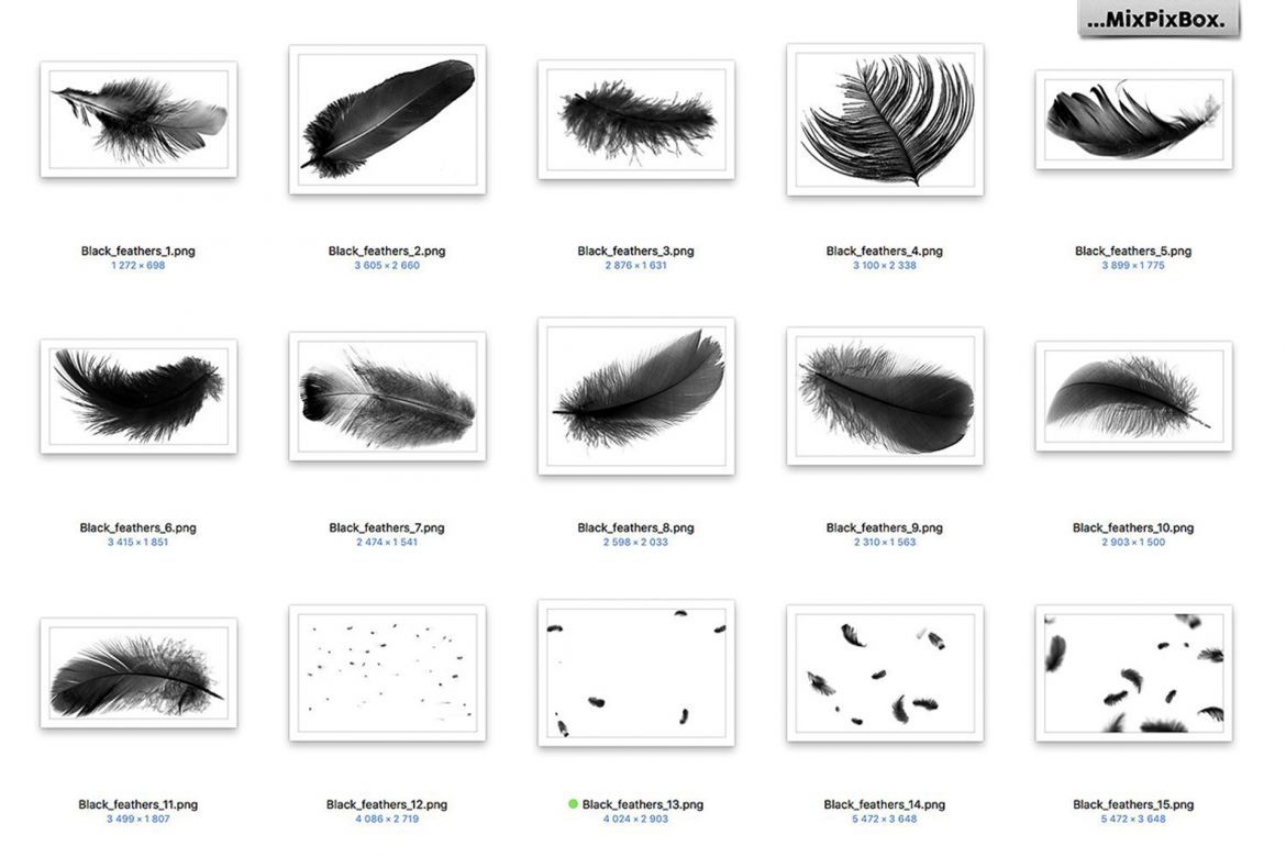 Black Feathers Overlays - view 5