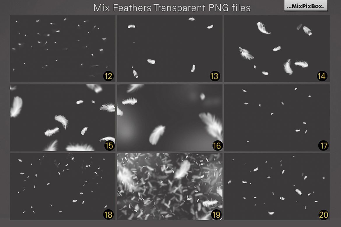 White Feathers Overlays - view 4