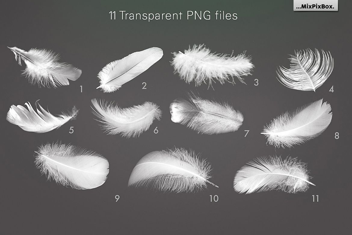 White Feathers Overlays - view 5