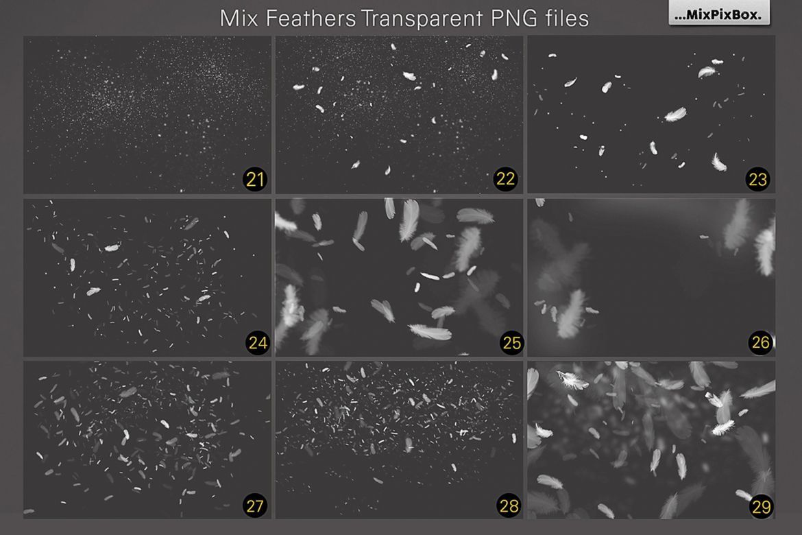 White Feathers Overlays - view 6