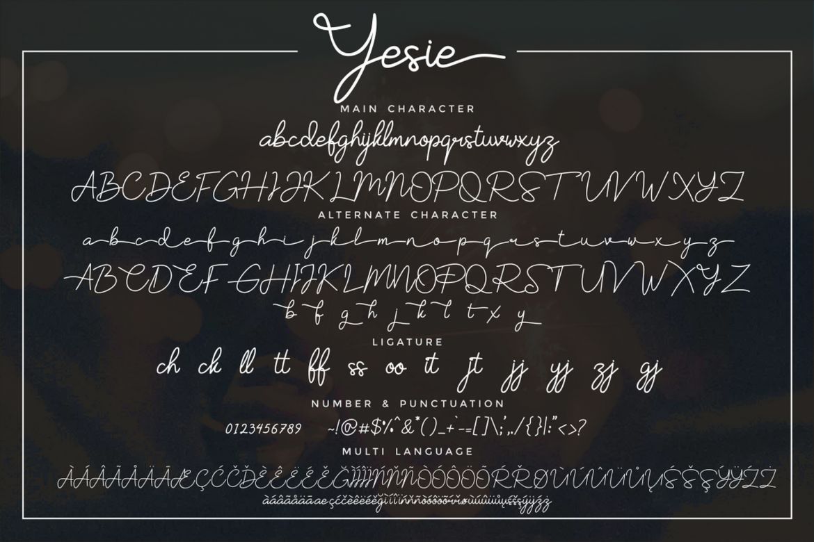 Yesie Script - view 3