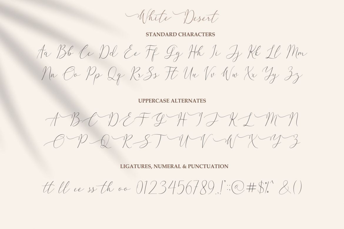 White Desert Script - view 8
