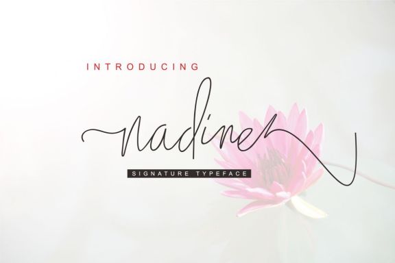 Nadine Monoline Font