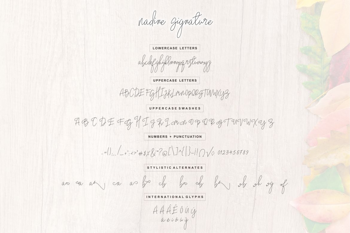 Nadine Monoline Font - view 6