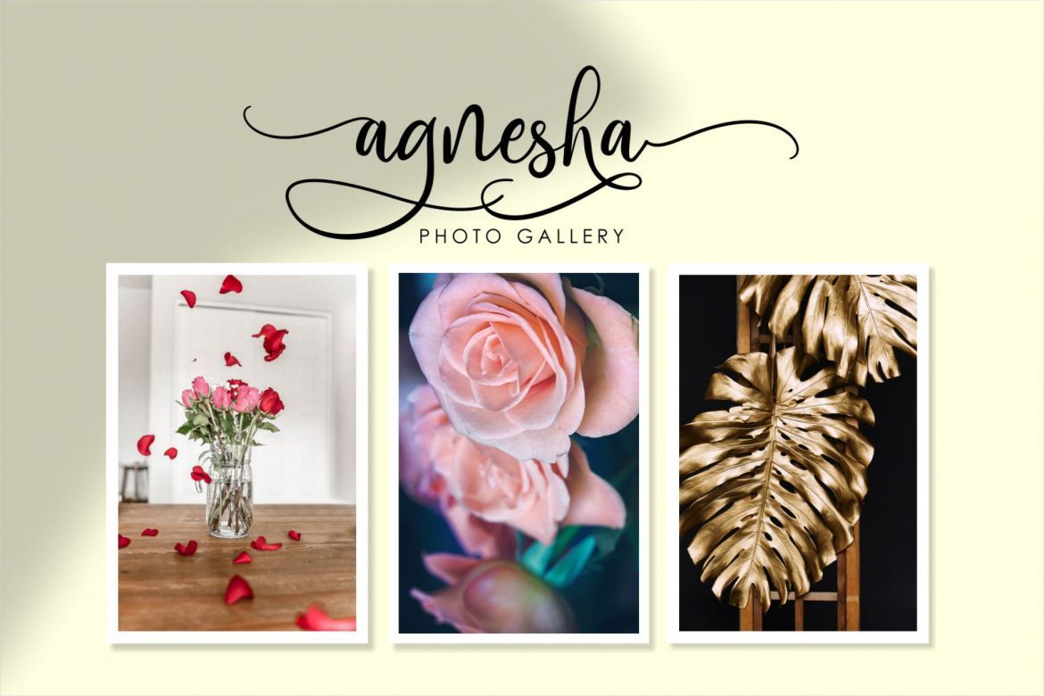 adhellita Script - view 5