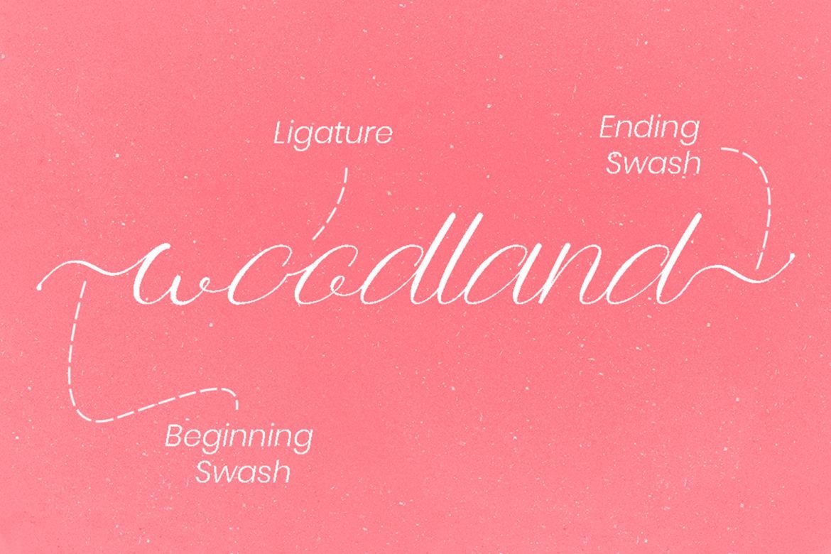 Anttalla Script - view 7