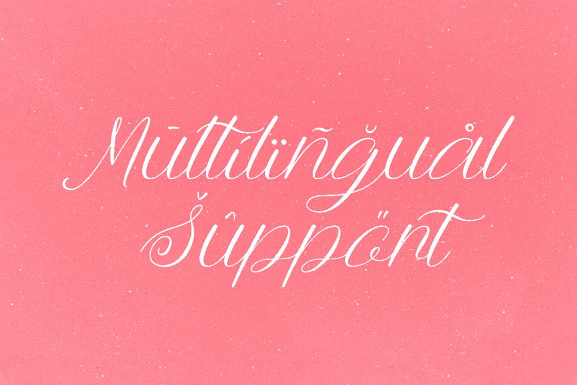 Anttalla Script - view 8