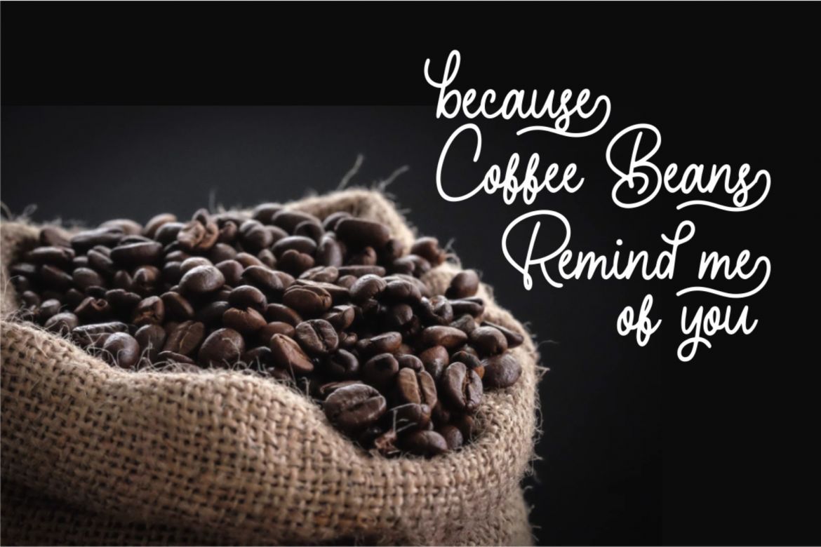 Hearthline Monoline Script - view 5