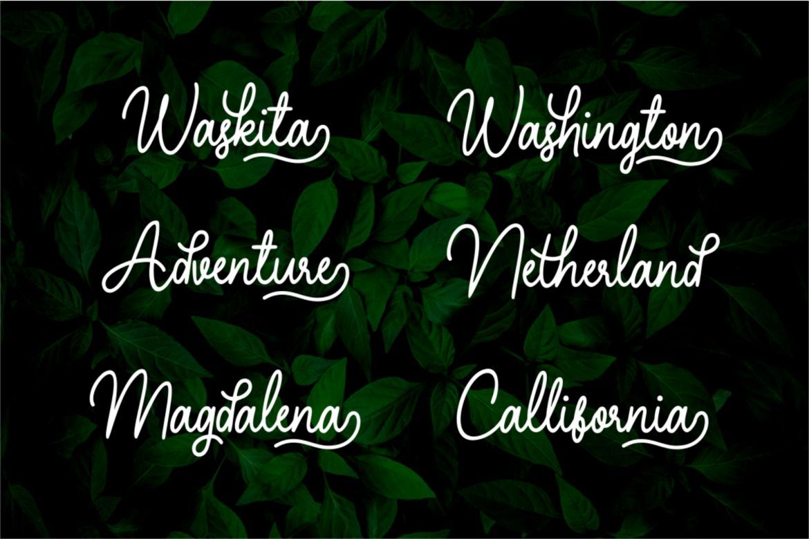 Hearthline Monoline Script - view 6