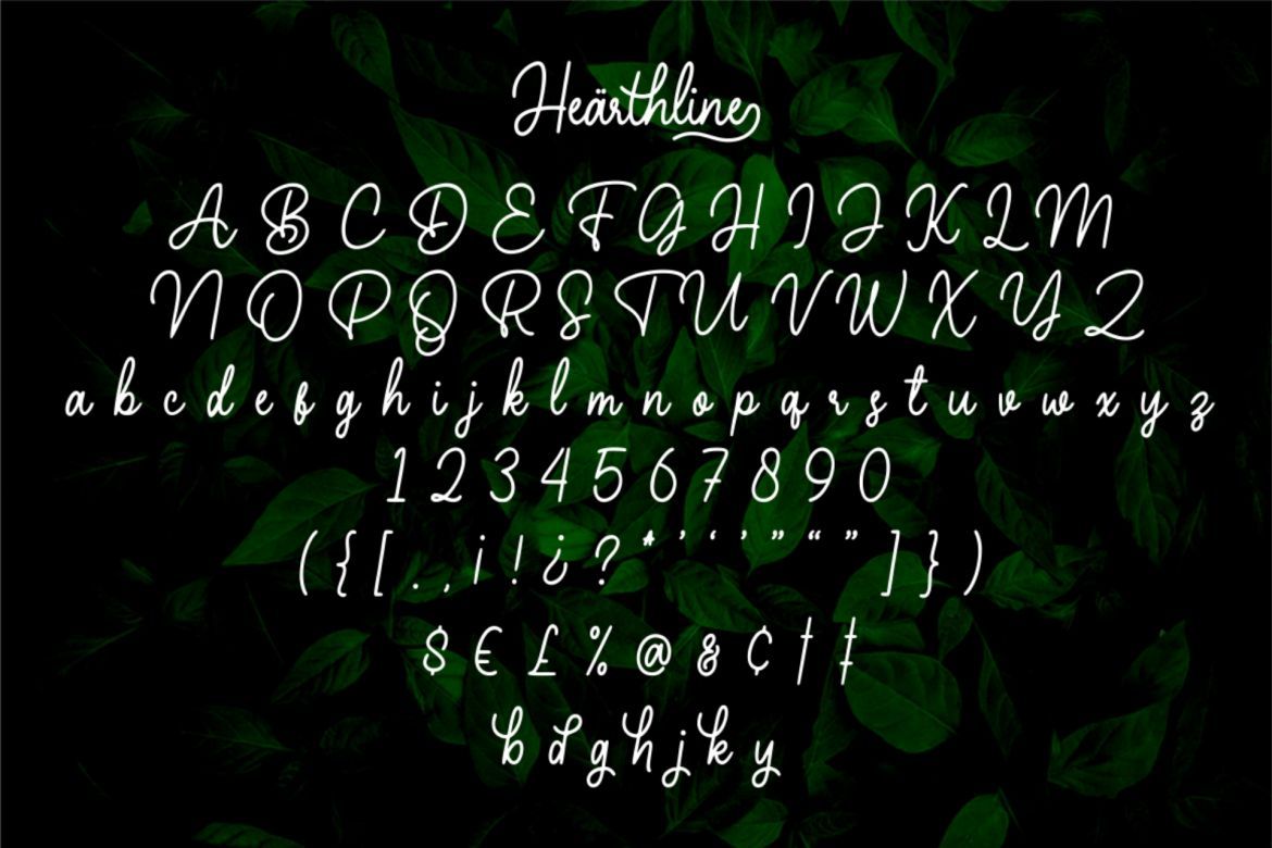 Hearthline Monoline Script - view 7