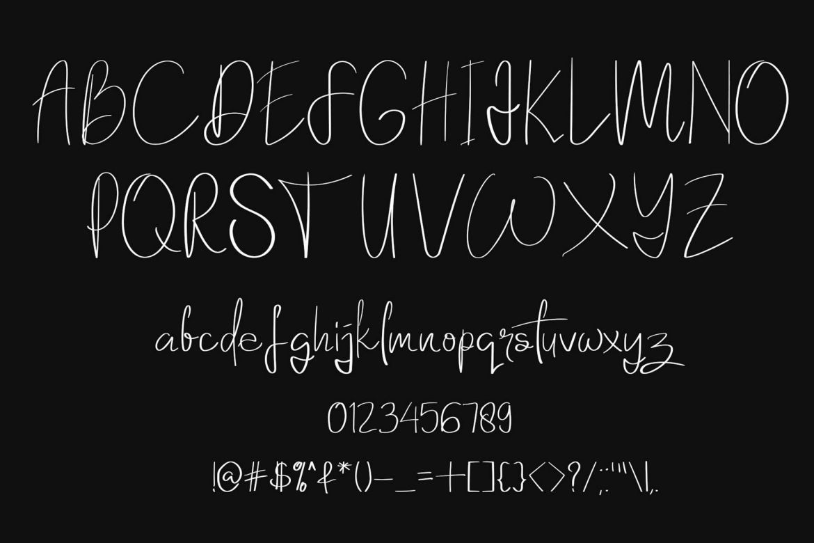 Elanor Script - view 8