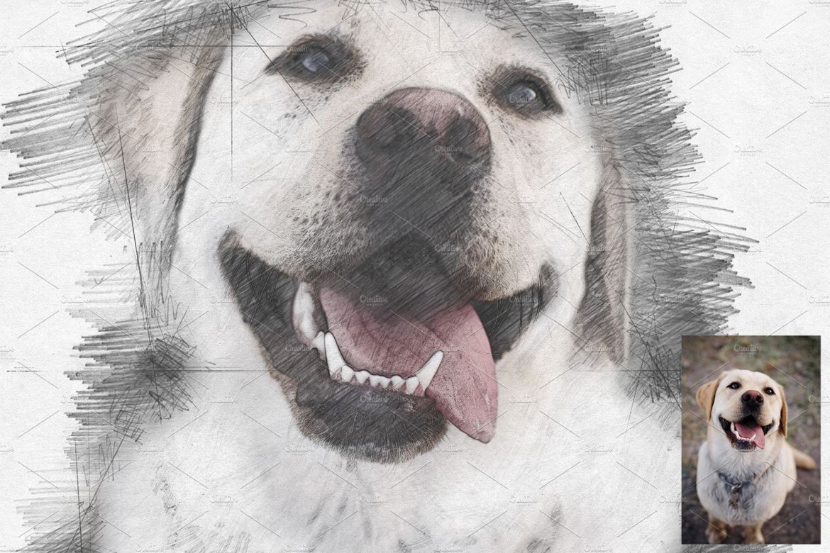 Pencil Sketch Photoshop Action - view 5