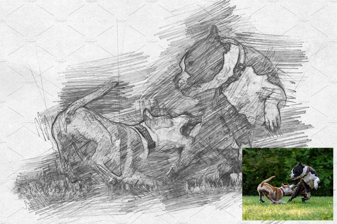 Pencil Sketch Photoshop Action - view 7