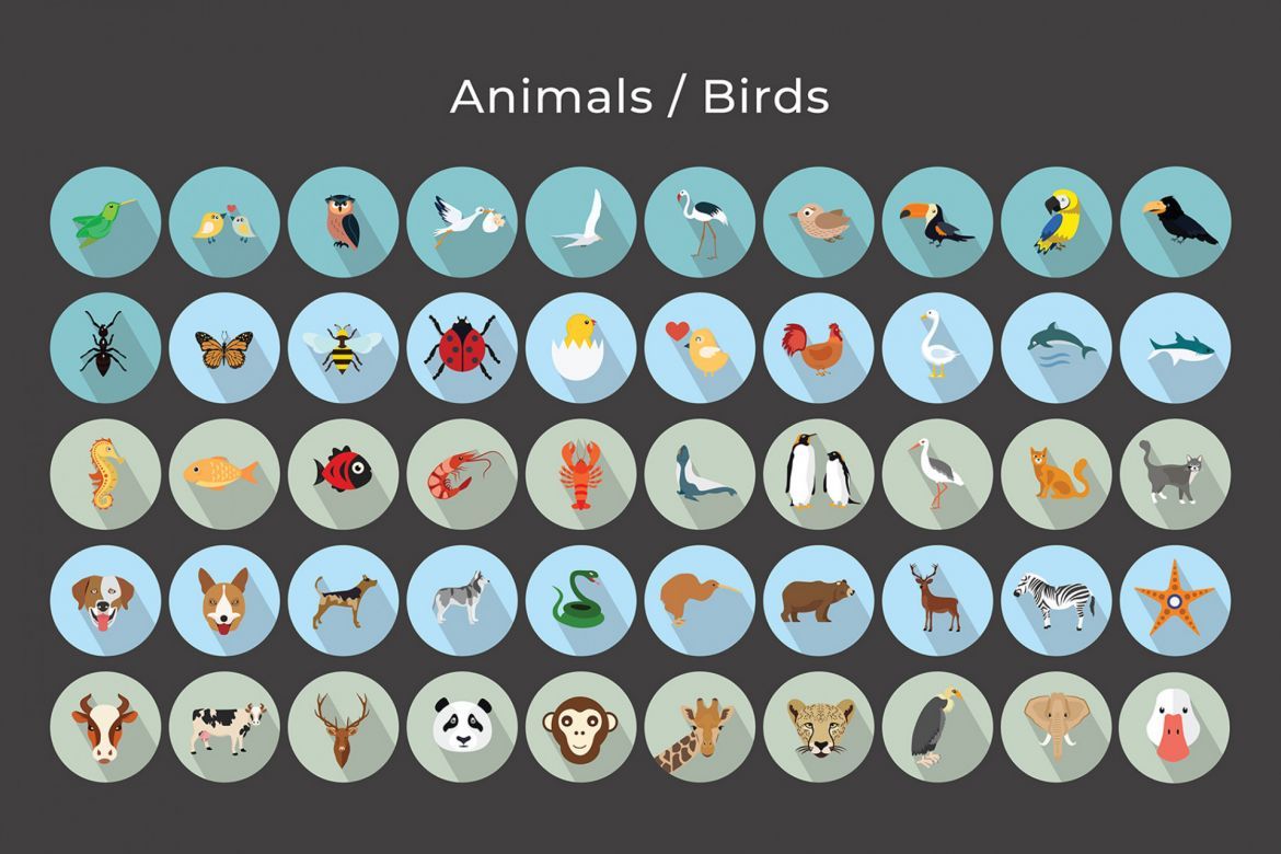 Animals - Birds Vector Icons - view 5