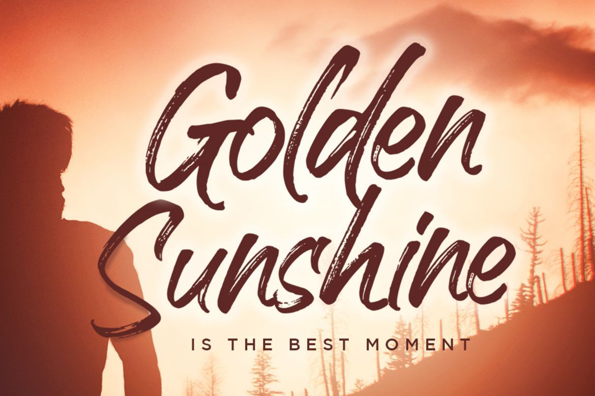 Handscript Brush Font alt