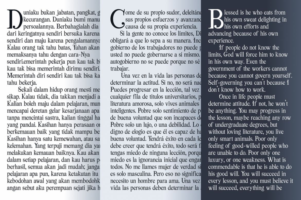 Viktoria Font Duo - view 10