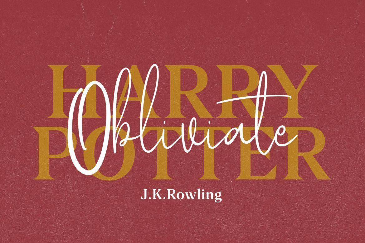 Borris Font Duo - view 5