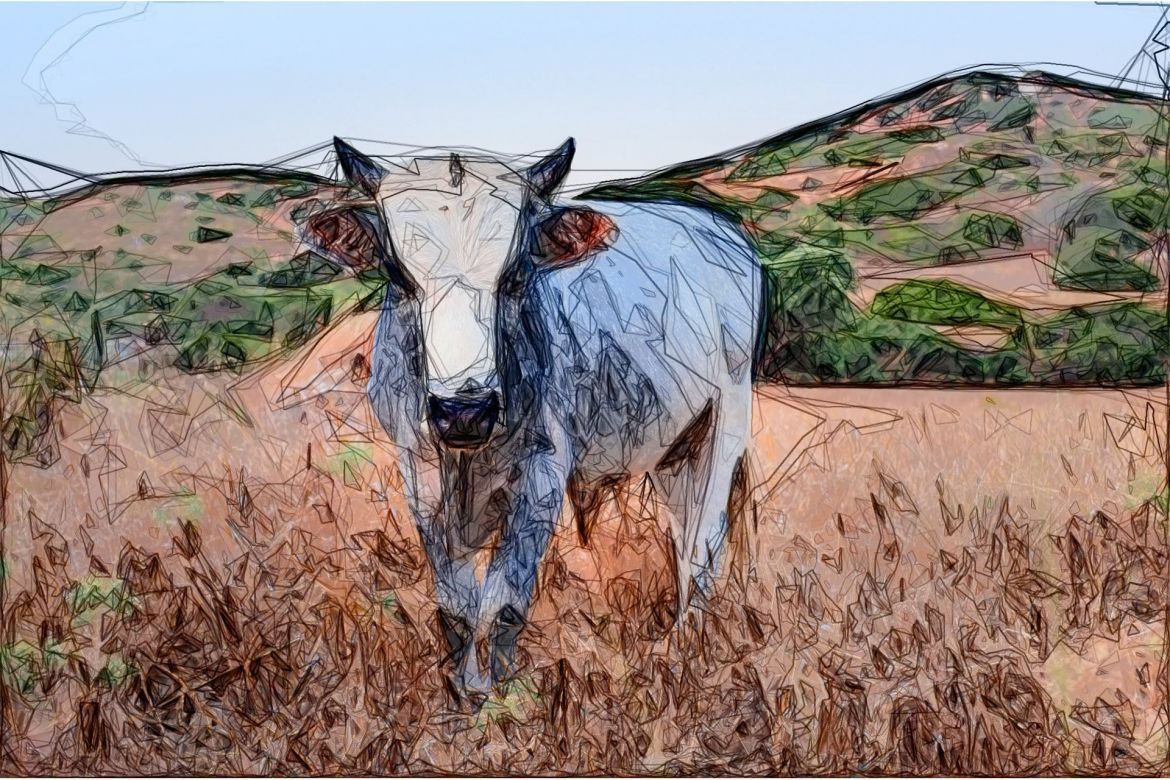 Scrape Line Photoshop Action - view 12