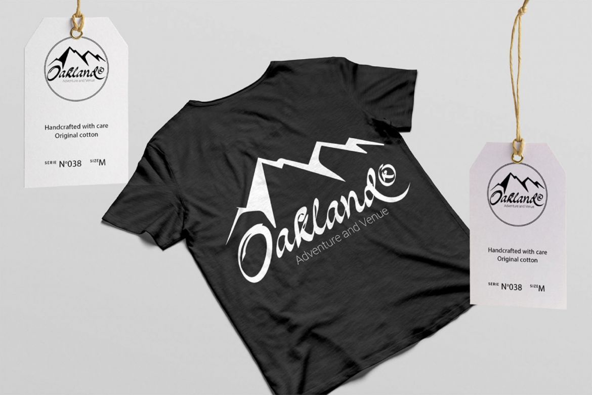 Oakland Script - view 8