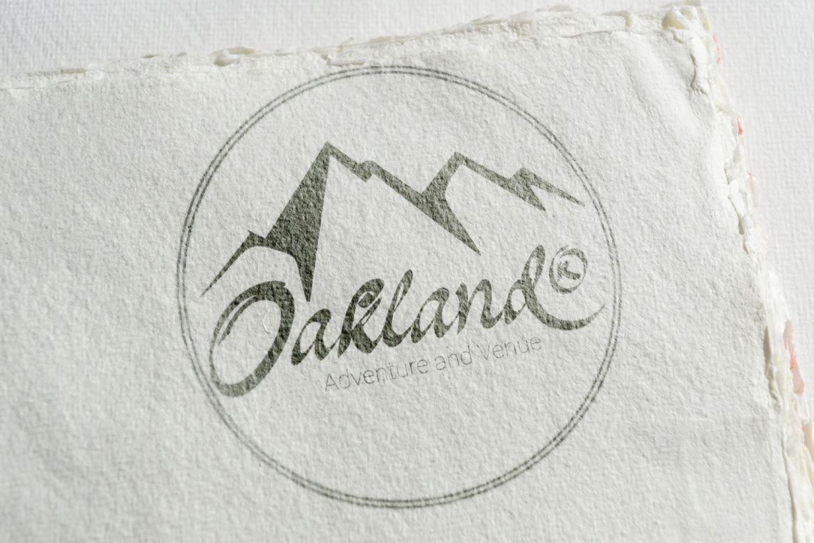 Oakland Script - view 9
