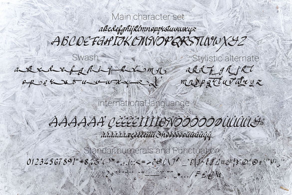 Oakland Script - view 10