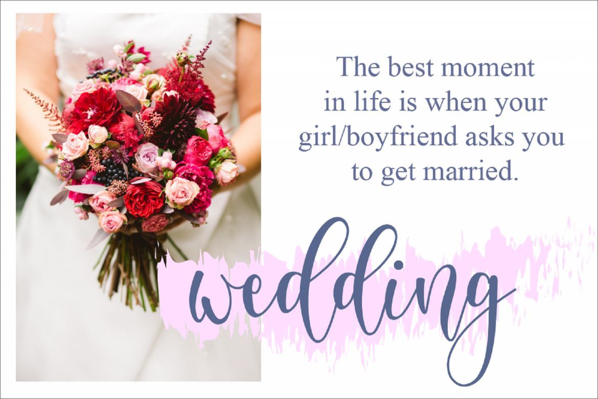 Delisha Script - view 6