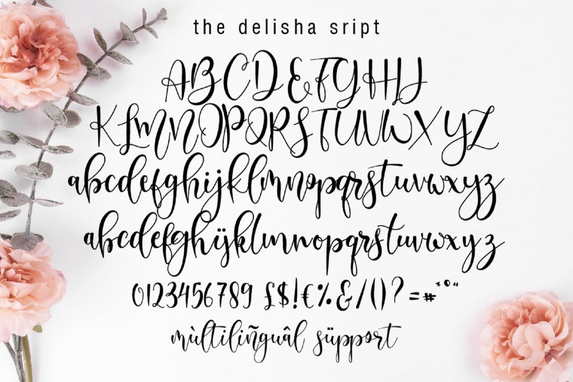 Delisha Script - view 13