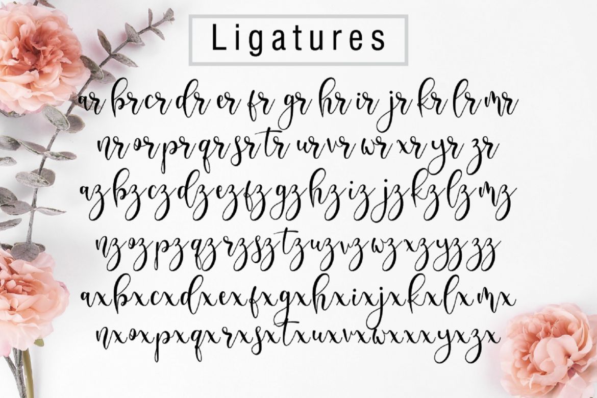 Delisha Script - view 14