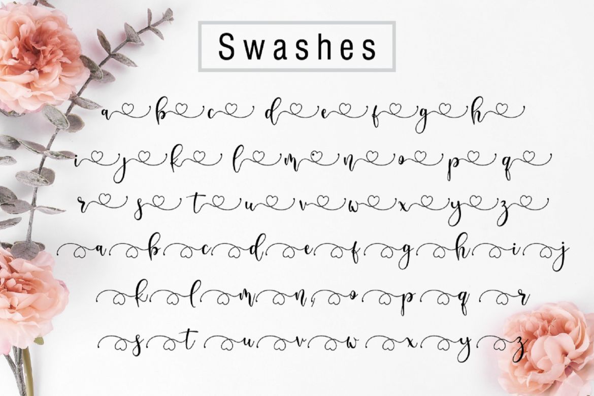 Delisha Script - view 15