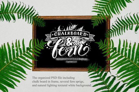 ChalkBoard And Fern Scene Creator