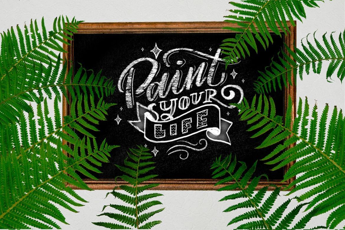 ChalkBoard And Fern Scene Creator - view 5