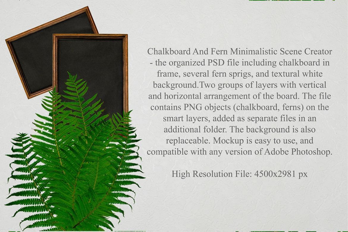 ChalkBoard And Fern Scene Creator - view 7
