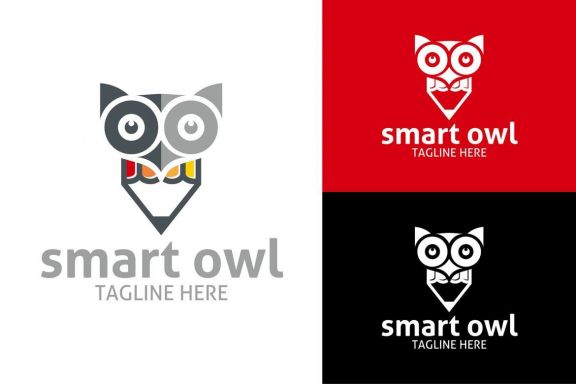 Smart Owl Logo - view 1