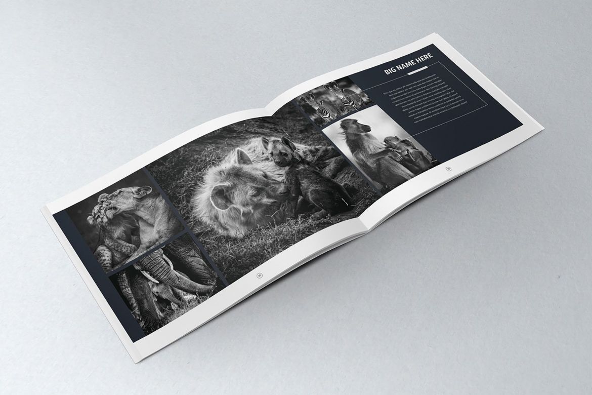 Elegant Photo Album A4 + Letter alternate