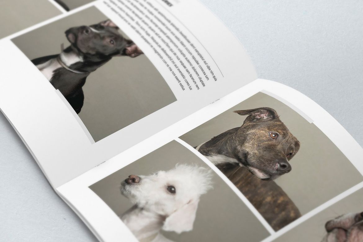 Elegant Photo Album A4 + Letter