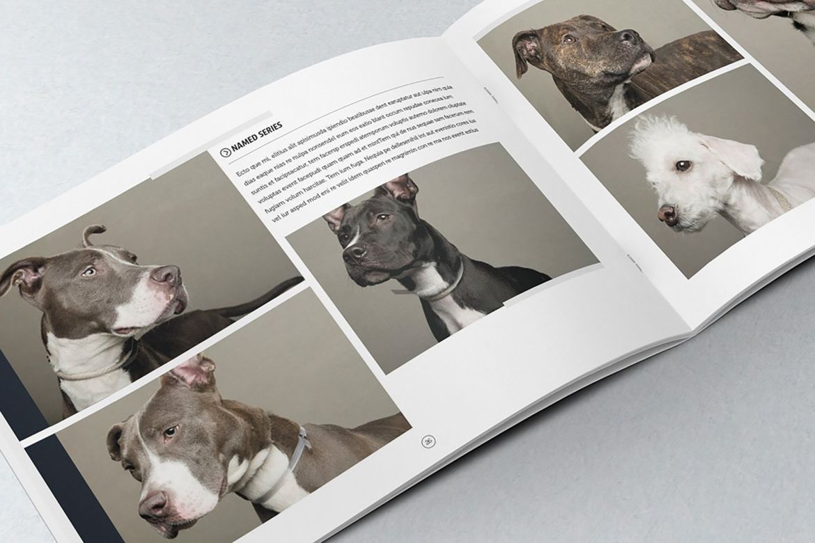 Elegant Photo Album A4 + Letter alt