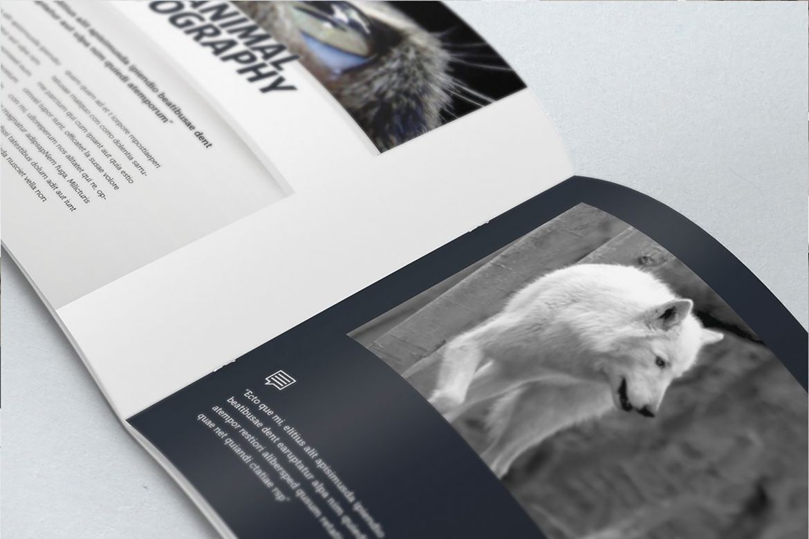 Elegant Photo Album A4 + Letter - view 7