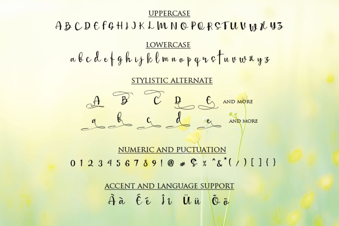 Mellisa Calligraphy Font alt