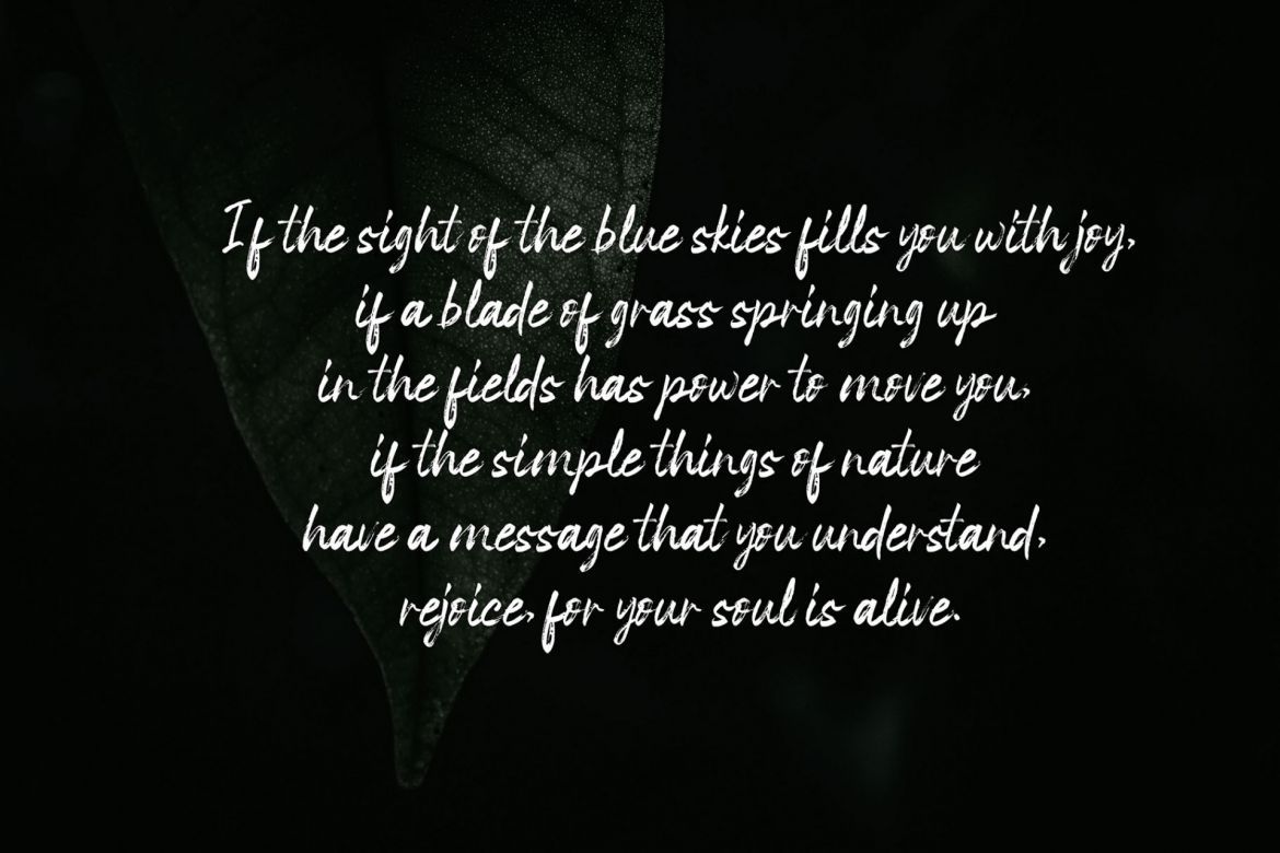 Space Outside Brush Font - view 3