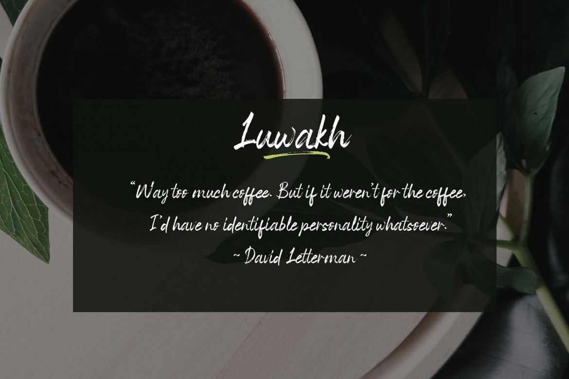 Space Outside Brush Font - view 5