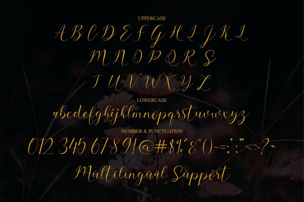 Sehaty Script - view 7