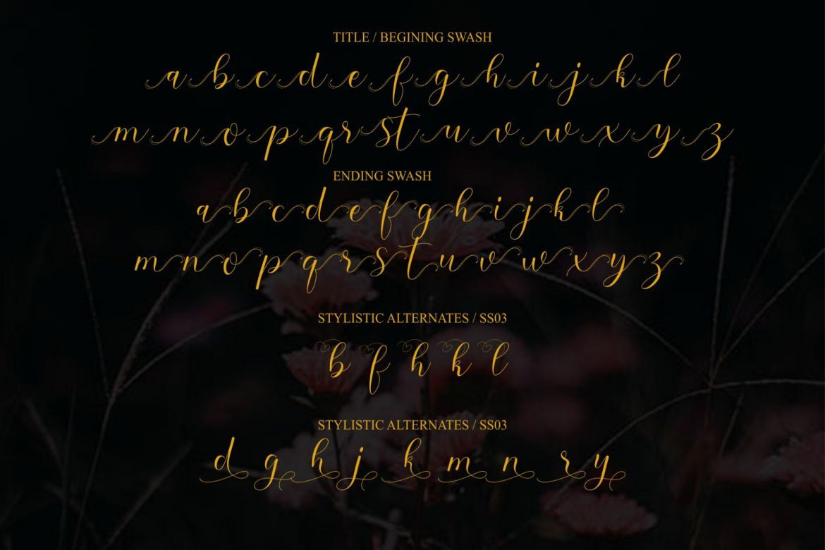 Sehaty Script - view 8