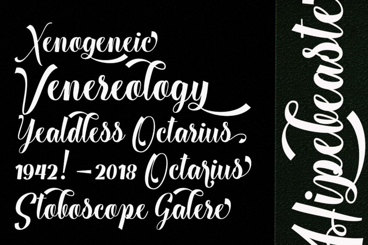 Musche Moulton Font - view 8