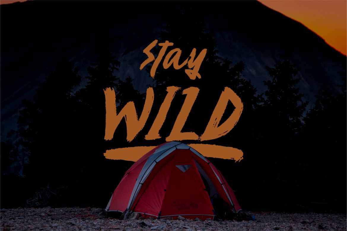 Venator Brush Font alternate