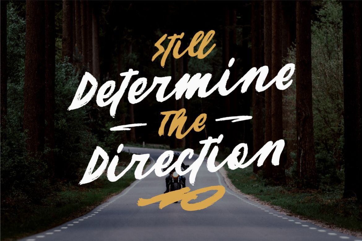 Venator Brush Font - view 6