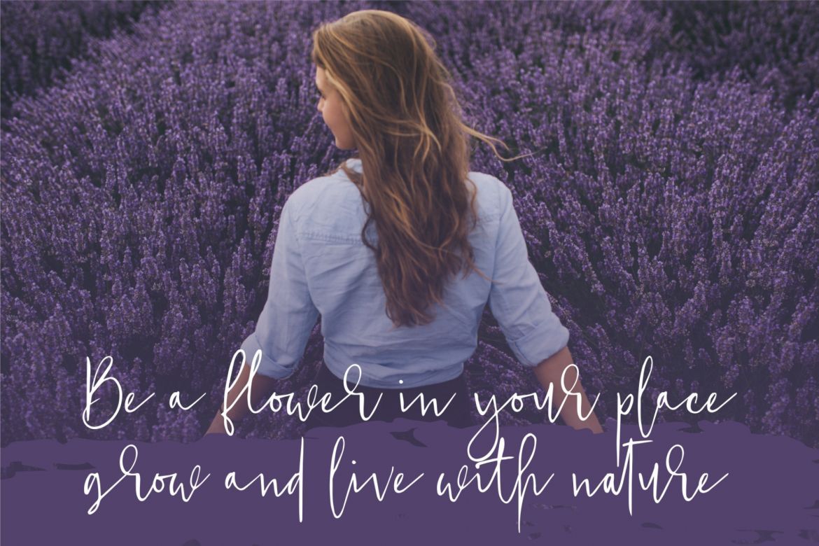 Just Jessy Script - view 4