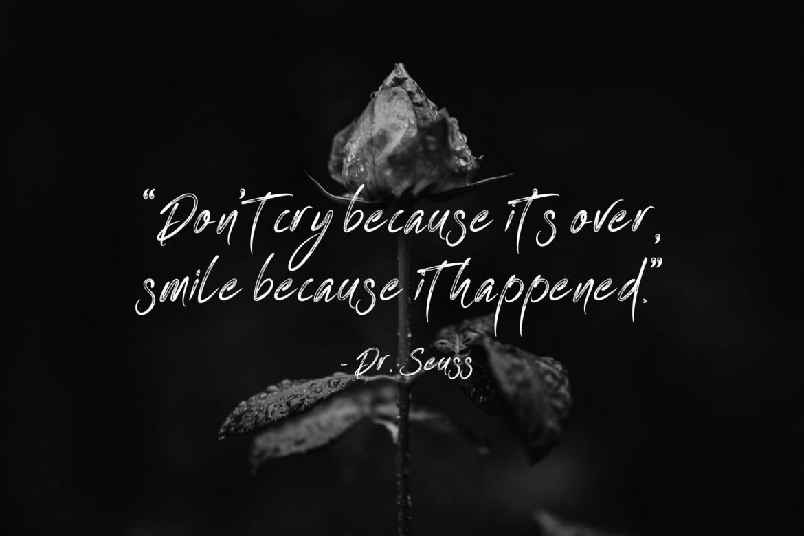 One Piece Script - view 3