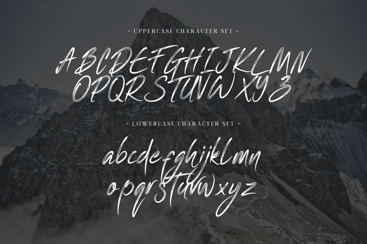 One Piece Script - view 6