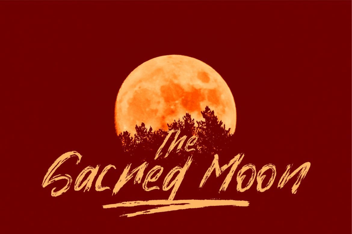 High Xire - Brush Font - view 4